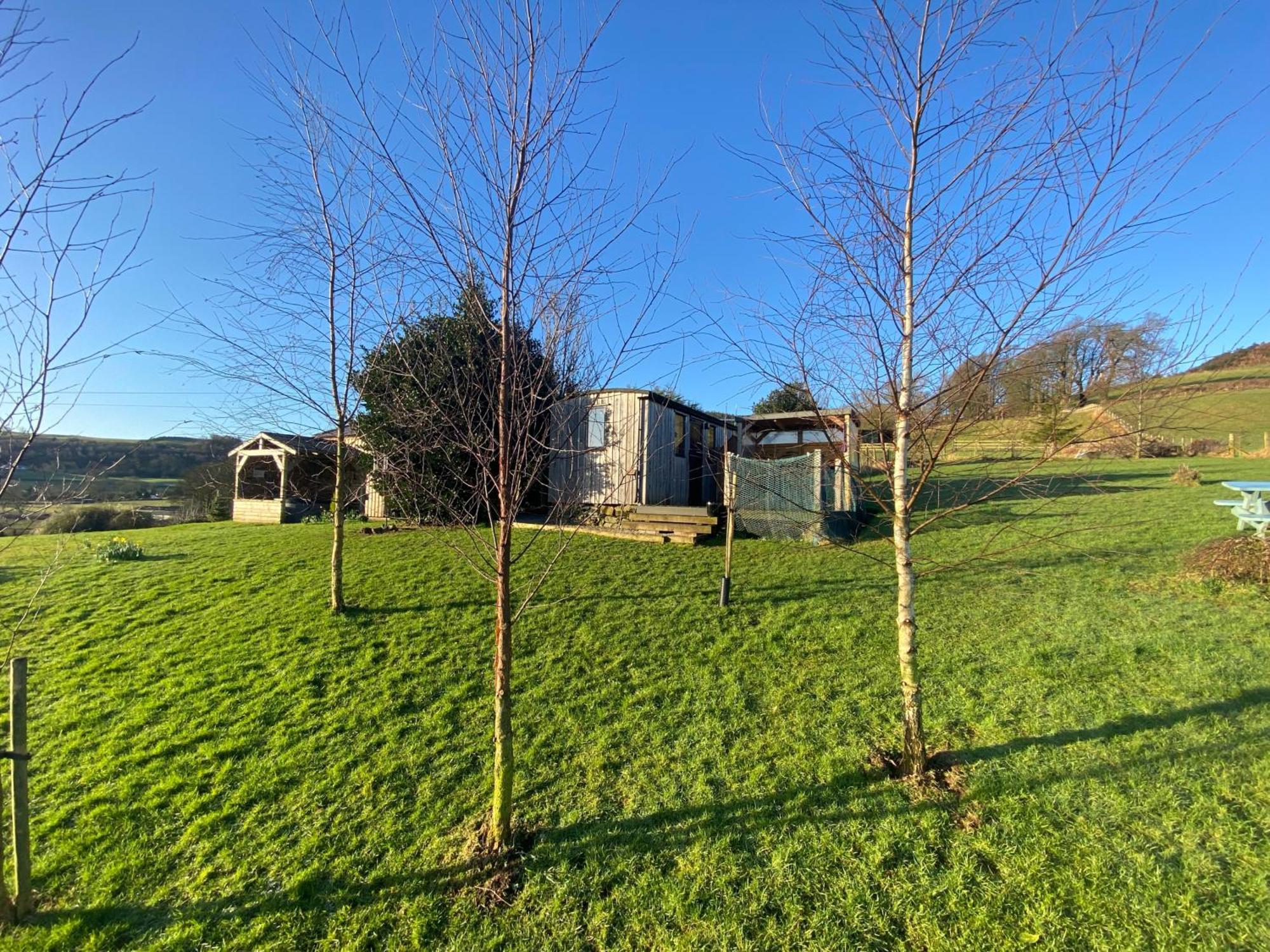 Stunning Shepherds Hut Rural Bliss ダンフリーズ エクステリア 写真